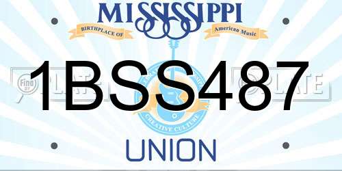 1BSS487 Mississippi License Plate