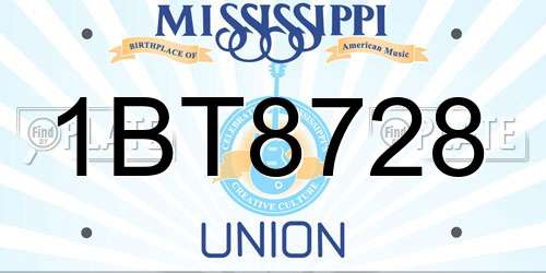 1BT8728 Mississippi License Plate