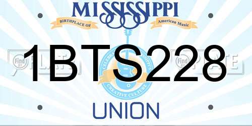 1BTS228 Mississippi License Plate
