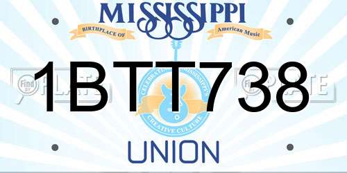 1BTT738 Mississippi License Plate