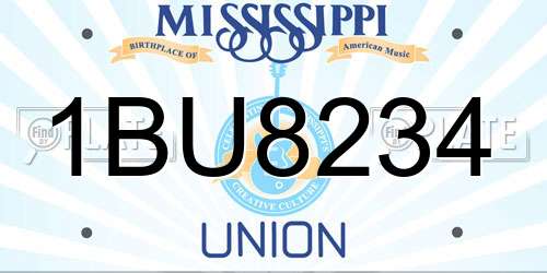1BU8234 Mississippi License Plate