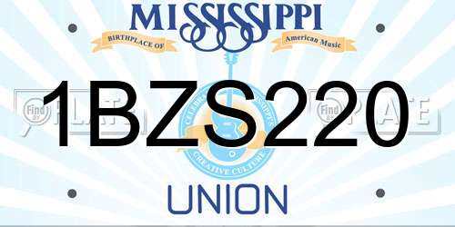 1BZS220 Mississippi License Plate