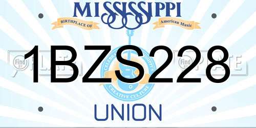 1BZS228 Mississippi License Plate