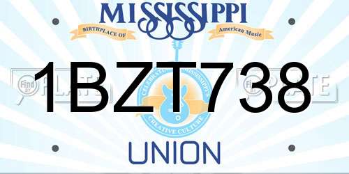 1BZT738 Mississippi License Plate