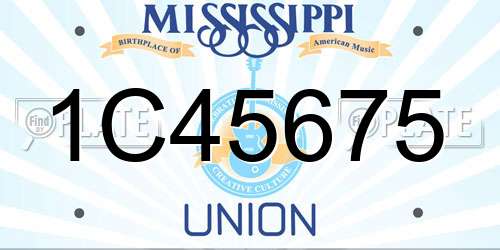 1C45675 Mississippi License Plate