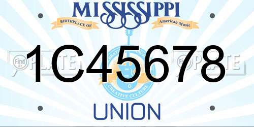 1C45678 Mississippi License Plate