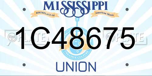 1C48675 Mississippi License Plate