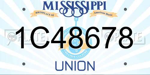 1C48678 Mississippi License Plate