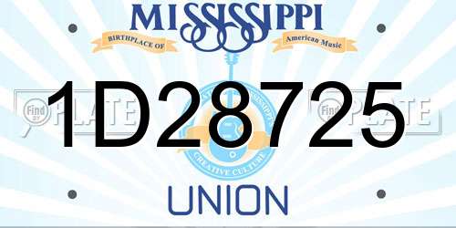 1D28725 Mississippi License Plate