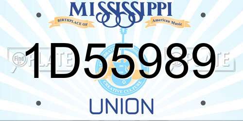 1D55989 Mississippi License Plate