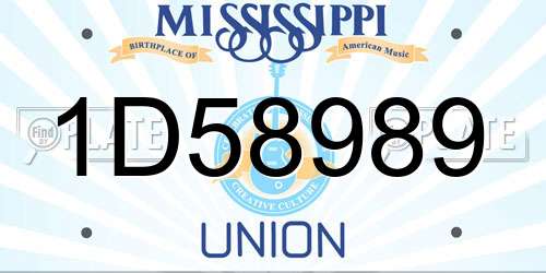 1D58989 Mississippi License Plate