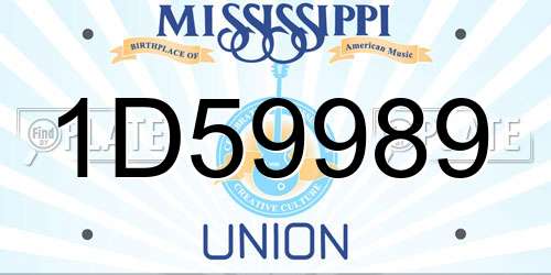 1D59989 Mississippi License Plate