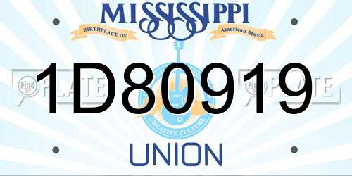 1D80919 Mississippi License Plate