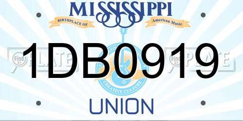 1DB0919 Mississippi License Plate
