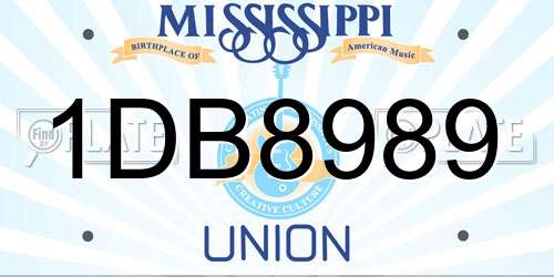 1DB8989 Mississippi License Plate