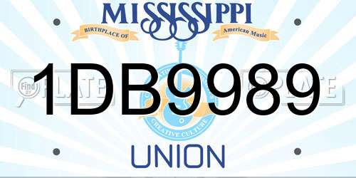 1DB9989 Mississippi License Plate