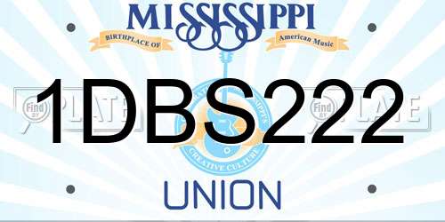1DBS222 Mississippi License Plate