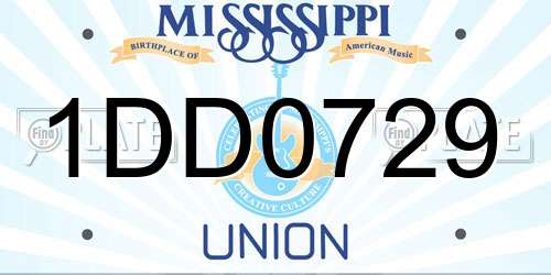 1DD0729 Mississippi License Plate