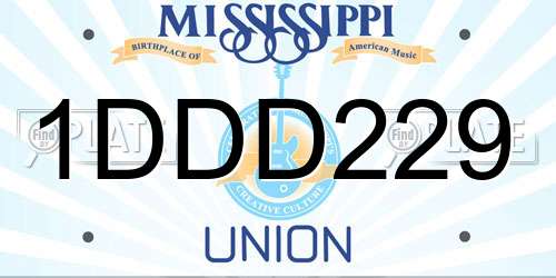 1DDD229 Mississippi License Plate