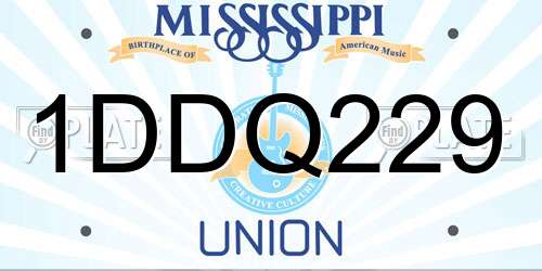 1DDQ229 Mississippi License Plate
