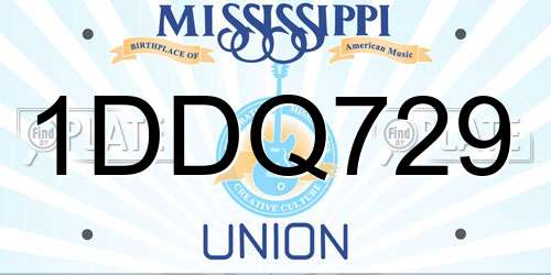 1DDQ729 Mississippi License Plate