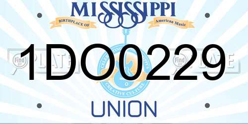 1DO0229 Mississippi License Plate