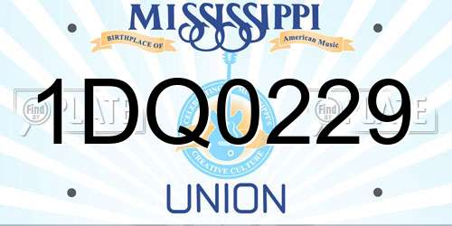 1DQ0229 Mississippi License Plate