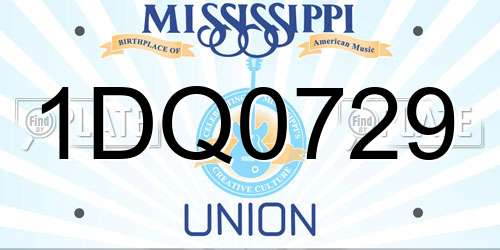 1DQ0729 Mississippi License Plate
