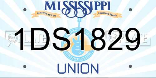1DS1829 Mississippi License Plate