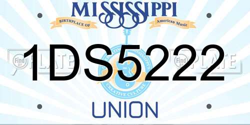1DS5222 Mississippi License Plate