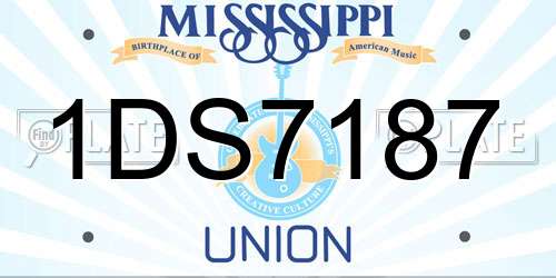 1DS7187 Mississippi License Plate