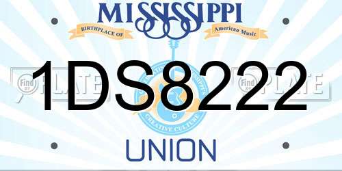 1DS8222 Mississippi License Plate