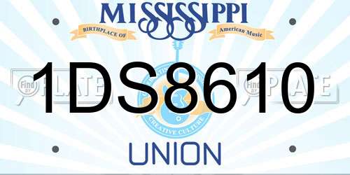 1DS8610 Mississippi License Plate