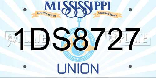 1DS8727 Mississippi License Plate