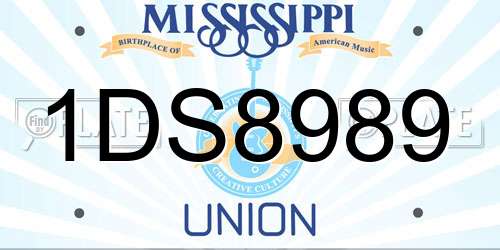 1DS8989 Mississippi License Plate