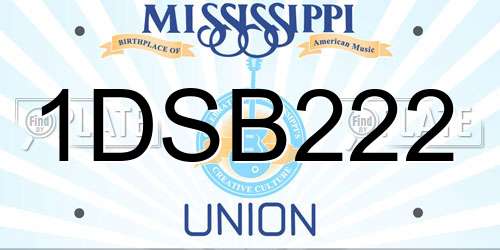 1DSB222 Mississippi License Plate