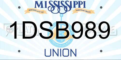 1DSB989 Mississippi License Plate