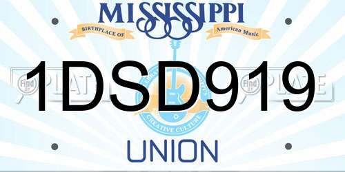 1DSD919 Mississippi License Plate