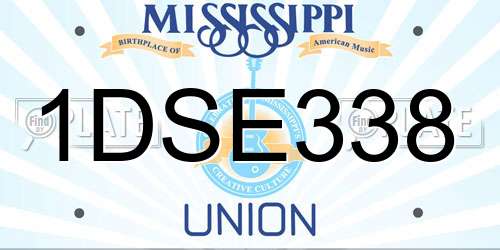 1DSE338 Mississippi License Plate
