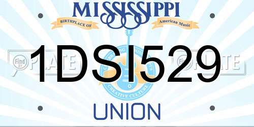 1DSI529 Mississippi License Plate