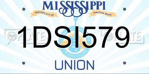 1DSI579 Mississippi License Plate