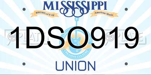 1DSO919 Mississippi License Plate