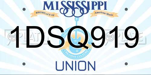 1DSQ919 Mississippi License Plate