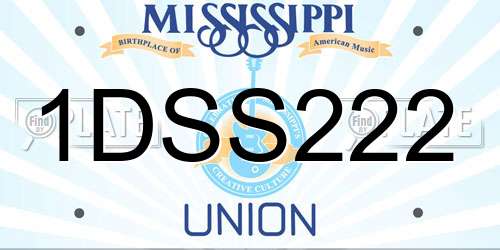 1DSS222 Mississippi License Plate