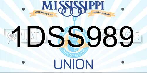 1DSS989 Mississippi License Plate