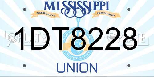 1DT8228 Mississippi License Plate