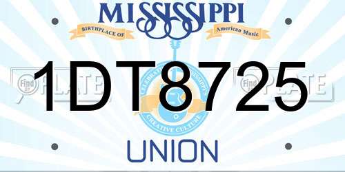 1DT8725 Mississippi License Plate