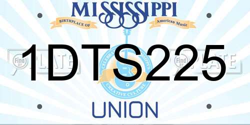 1DTS225 Mississippi License Plate