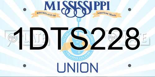 1DTS228 Mississippi License Plate