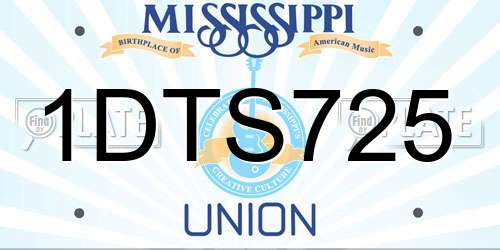 1DTS725 Mississippi License Plate